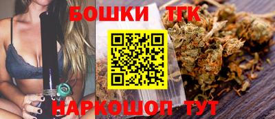 СК Волгодонск