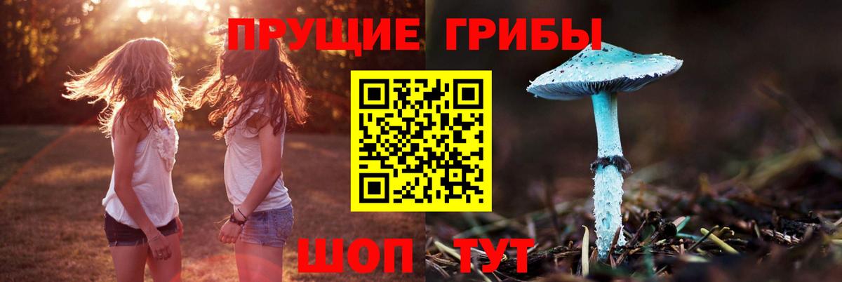 Губаха  Alpha PVP СК кристаллы  ГАШ  Конопля  МАРИХУАНА  Меф   COCAIN  MDMA 